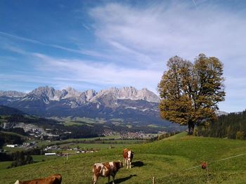 Terrassencamping Schlossberg