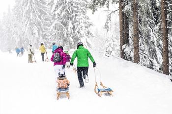 AktivHotel Hochfilzer