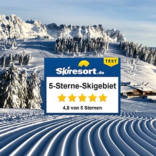 Platz 1 aus 431 Skigebieten weltweit