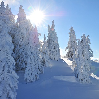 Vanvittigt smukke vintervandreture på bjerget