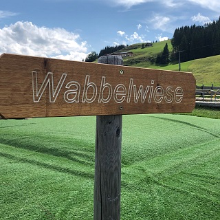 Wellmoor Wabbelwiese