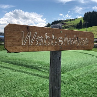 Wellmoor Wabbelwiese