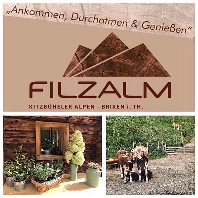 Filzalm - TVB Kitzbüheler Alpen
