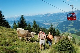 Hiking trails with the Wilder Kaiser - Brixental cable cars and lifts