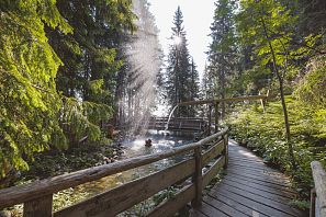 Ein Holzweg schlängelt sich durch einen üppigen Wald, mit Sonnenstrahlen und Wasser, das sanft aus einem Wasserfall sprüht.