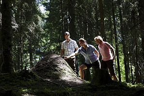 Erwachsene Gruppen Ameisenhügel erforschen Hexenwasser Söll Thema Erdreich