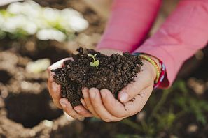 Kind mit Erde in Hände und kleiner Pflanze Hexenwasser Söll Thema Erdreich