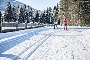 Two people are cross-country skiing on a snowy trail bordered by pine trees and mountains under a clear blue sky.