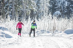 Two people cross-country skiing in a snowy, sunlit forest. They are dressed in colorful winter gear, surrounded by snow-covered trees and bushes.