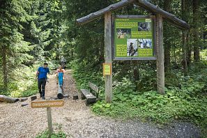 RiesenWelt in SkiWelt Wilder Kaiser Brixental