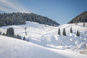 Rinner Kraftalm Abfahrt in SkiWelt Söll