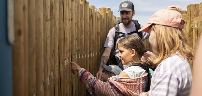Children and adults interacting with a wooden fence, one child pointing while others observe.