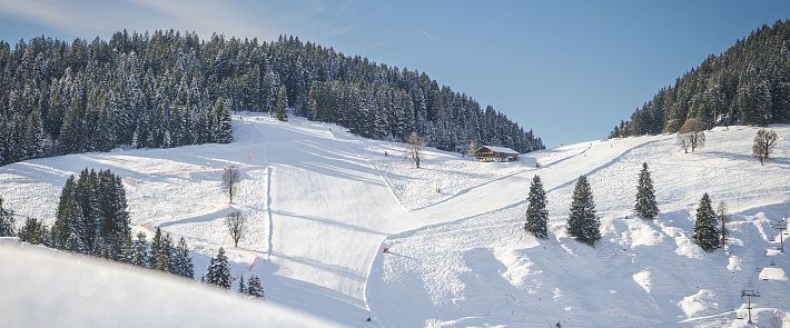 Rinner Kraftalm Abfahrt in SkiWelt Söll