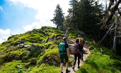 Drei Wanderer gehen einen schmalen Pfad auf einem bewaldeten Berghang entlang, umgeben von grüner Vegetation und Felsen.
