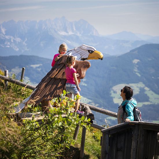 alpinolino-westendorf-im-sommer-in-skiwelt-wilder-kaiser-brixental-14-10
