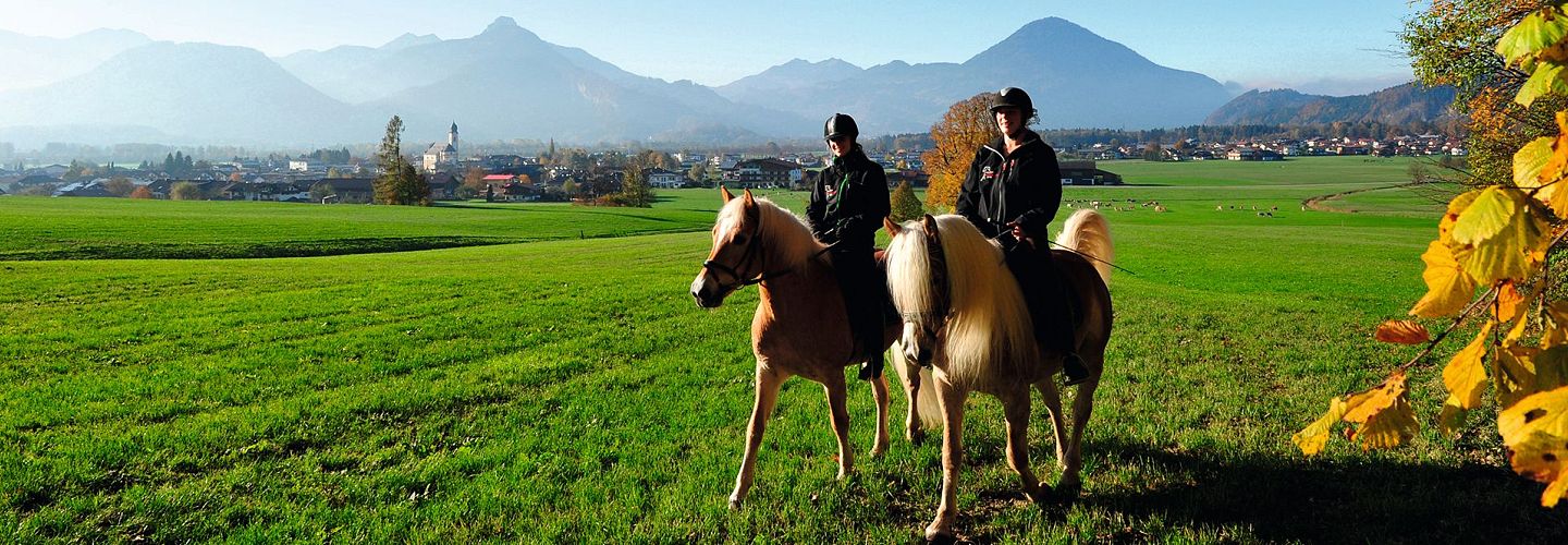 Ausritt mit zwei Pferden vom Fohlenhof in Ebbs