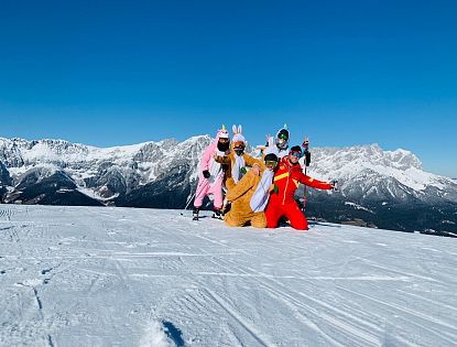 Eine Gruppe von Menschen in bunten Tierkostümen posiert fröhlich auf einer schneebedeckten Bergspitze mit blauem Himmel und majestätischen Bergen im Hintergrund.