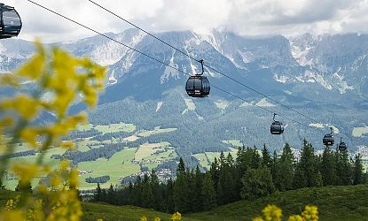 gondel-hartkaiser-in-ellmau-im-sommer-mit-gelben-blumen-im-vordergrund-17