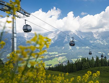 gondel-hartkaiser-in-ellmau-im-sommer-mit-gelben-blumen-im-vordergrund-4