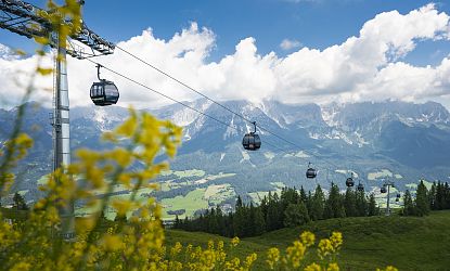 gondel-hartkaiser-in-ellmau-im-sommer-mit-gelben-blumen-im-vordergrund-5