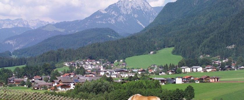 haering-ort-im-sommer-2