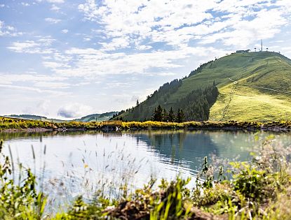 kleine-salve-aussichtsberg-im-sommer-in-skiwelt-wilder-kaiser-brixental-12-4