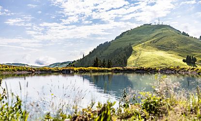 kleine-salve-aussichtsberg-im-sommer-in-skiwelt-wilder-kaiser-brixental-12-5