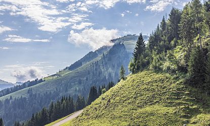 Ausblick von einem Wanderweg neben dem Wald mit Ausblick zum Gipfel Hohe Salve mit Wolken