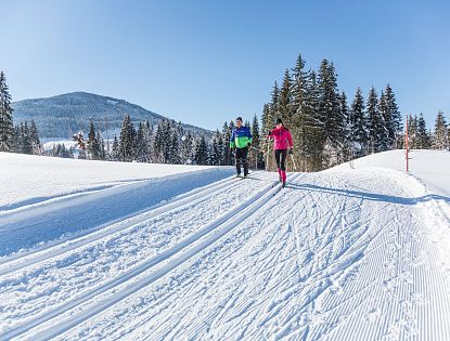Twee mensen langlaufen in de sneeuw omringd door bomen en bergen onder een blauwe lucht.
