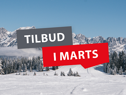 März Aktionen Header Meldung_DK