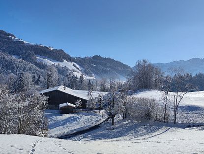 Blick auf eine Winterlandschaft und eine alte Hütte.
