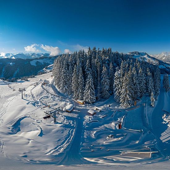 Eine weitläufige Winterlandschaft zeigt schneebedeckte Berge, einen klaren blauen Himmel und einen Wald aus hohen, mit Schnee bedeckten Bäumen. Pisten und Lifte sind sichtbar.