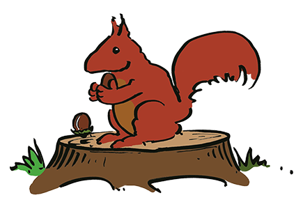Squirrel on a tree