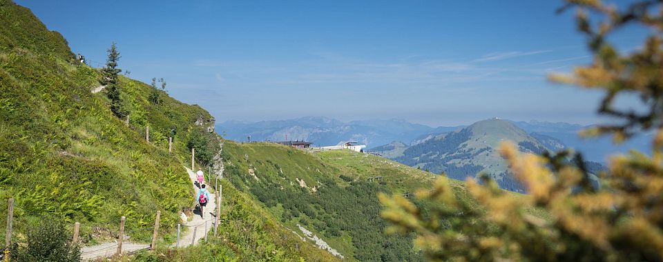 Eine malerische Berglandschaft mit einem Wanderweg, auf dem Wanderer unterwegs sind. Im Hintergrund sind sanfte Hügel und ein klarer blauer Himmel zu sehen.