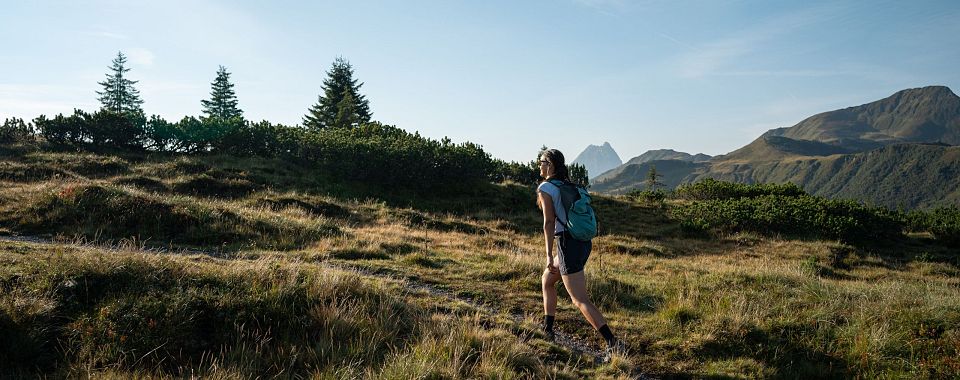 Persoon wandelt op een bergpad met gras, bomen en majestueuze bergen in de achtergrond onder een heldere blauwe hemel.