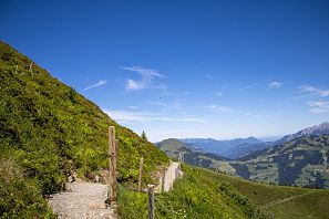Alpinolino Himmelsteig wandelen in Westendorf