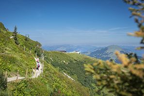 Alpinolino Westendorf_(c)Dietmar Denger 2022 (28)