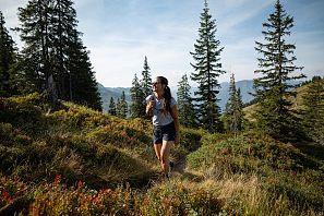 Alpinorama Wanderweg_See Westendorf_Sommer
