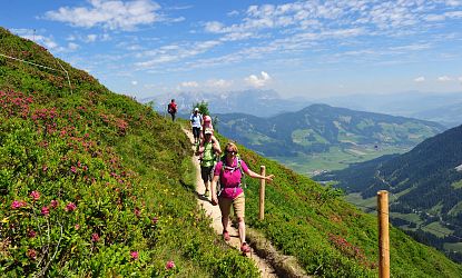 Gruppe von Wanderern auf einem schmalen Bergpfad, umgeben von grünen Hügeln und blühenden Alpenrosen, mit malerischem Blick auf das Tal und einen klaren, blauen Himmel.
