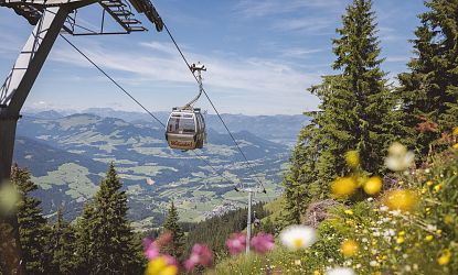 Een kabelbaan zweeft boven een groene vallei met bergen in de verte en een blauwe lucht. Bomen omlijsten het landschap.