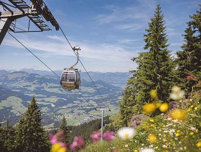Cable car gliding over green mountains with trees and a valley in the background under a clear blue sky.