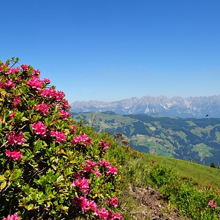 Betriebs- und Saisonzeiten Westendorf im Sommer