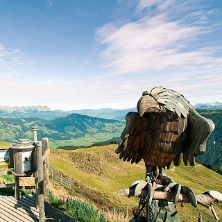 Experience Hiking in Westendorf