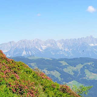 Webcams in Westendorf